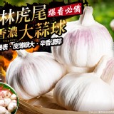 雲林虎尾鮮香濃大蒜球(特優級~調降檔)市售200/斤-特價