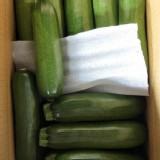 南投-高山櫛瓜 🥒（一包800g）產地售價$250 團購價