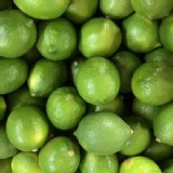 🍋屏東小農無農藥有機檸檬3斤+-10%-🍋 團購價