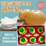 苗栗卓蘭特級水梨 新興梨6顆/盒-團購價