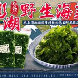 澎湖野生海菜-商品規格:300g+-5%/包-市售130/包-團購價