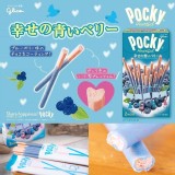 日本POCKY藍莓風味巧克力棒