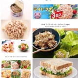 日本 -(稻葉鮪魚鰹魚罐) 三入一組 - 特價活動 特價：$100