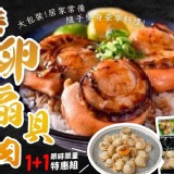 日本北海道帶卵扇貝肉1+1特惠組-300公克/包(一組兩包)售價:539特價