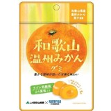 日本Kaneka乳酸菌軟糖40g-(和歌山蜜柑)