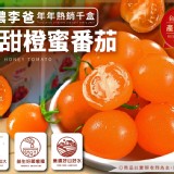 美濃李爸特甜橙蜜番茄💰商品售價:$499/5斤 社團優惠