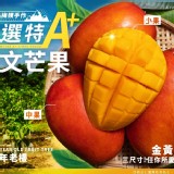 枋山阿梅姨-嚴選特A+愛文芒果(大果)商品規格:5台斤(5-7顆裝)