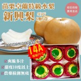 苗栗卓蘭特級水梨 新興梨5台斤(6顆/盒)$650/盒