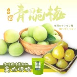 南投信義鄉青脆梅180g 優惠價