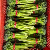 有機蔬果∼青花筍營養價值高 特價：$50