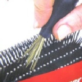 梳子清理器 梳子清潔器 梳子伴侶 衛生護理 特價：$30