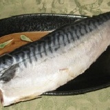 薄塩鯖魚 產地:挪威 ~85折嚐鮮試吃,每人限購1份!(不會死鹹,超下飯)