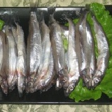 柳葉魚(蛋蛋魚) ★新品嚐鮮★(每份20隻裝)產地:台灣~~補充天然的鈣質~