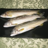 香魚 肉質細緻清香,不是小size的香魚哦! ~ 產地:台灣宜蘭 特價：$108