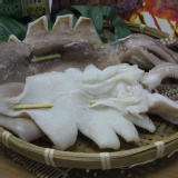 阿根廷熟凍鮮魷魚 特價：$75
