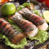 頂極生凍龍蝦身~大