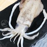 【勝崎生鮮】鮮脆活凍軟絲