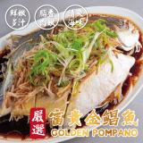 【勝崎生鮮】富貴金錩魚