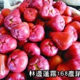 林邊鹹水地 平裝禮盒中顆黑珍珠 正宗鹹水地栽種 果農自產自銷 新鮮看的見 非嚐不可