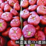 林邊鹹水地 平裝禮盒小顆黑珍珠 正宗鹹水地栽種 果農自產自銷 新鮮看的見 非嚐不可