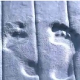 珊瑚絨面記憶吸水慢回彈踏墊 體驗雲端漫步 勝雪尼爾