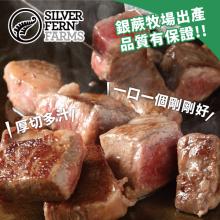 【勝崎生鮮】紐西蘭銀蕨PS熟成骰子牛