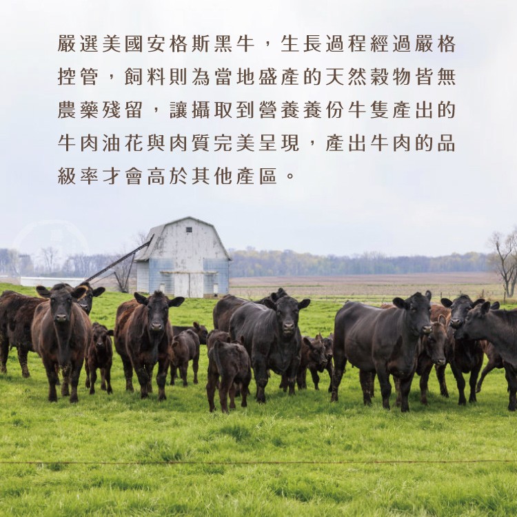 嚴選美國安格斯黑牛,生長過程經過嚴格，控管,飼料則為當地盛產的天然穀物皆無，農藥殘留,讓攝取到營養養份牛隻產出的，牛肉油花與肉質完美呈現,產出牛肉的品，級率才會高於其他產區。