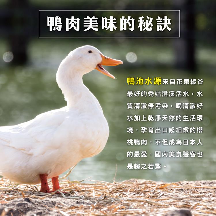鴨肉美味的秘訣，鴨池水源來自花東縱谷，最好的秀姑巒溪活水,水，質清澈無污染,喝清澈好，水加上乾淨天然的生活環，境,孕育出口感細緻的櫻，桃鴨肉,不但成為日本人，的最愛,國內美食饕客也，是趨之若鶩。