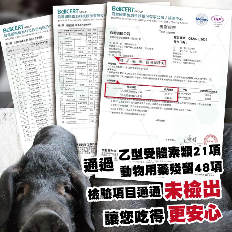 貝爾國際檢測科技股份有限公司，貝爾國際檢測科技股份有限公司，分析销 單位:ppmimg/kgo，中文易，分析物 ppmimg/kgai，英文名，申請單位:明有限公司，桃園市龜山區大源路一段428號，糖糖泡日期:品接收日期:申請單位地址:桃園市龜山區萬