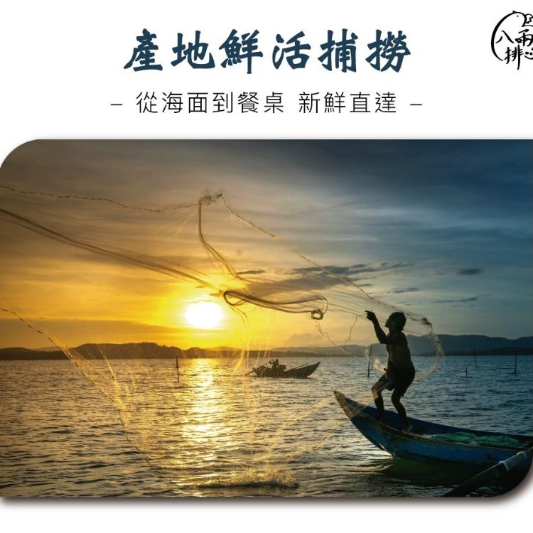 【八兩排】熟凍海瓜子(大顆)-500克/約莫40顆