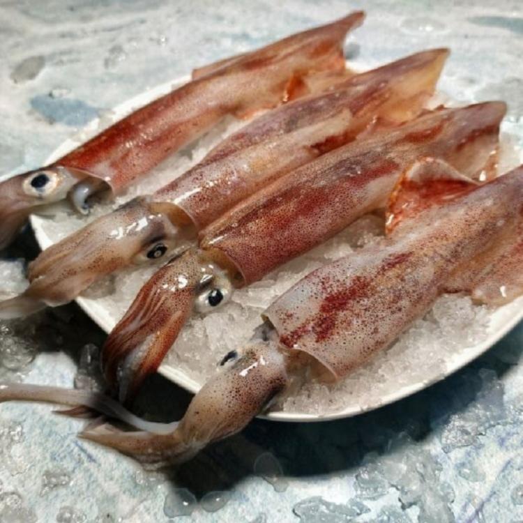 【海鮮尊品】大規格透抽圈