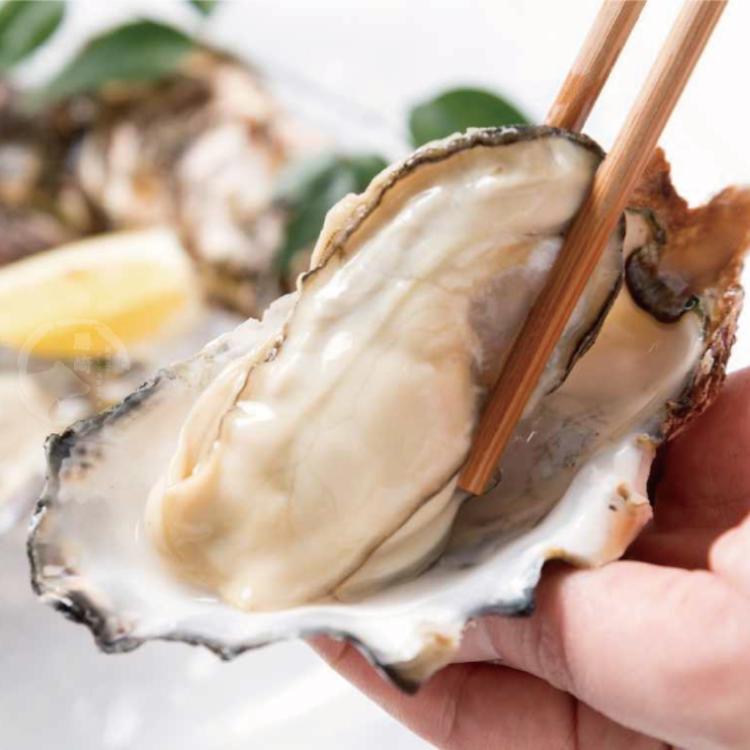 【勝崎生鮮】生猛半殼生蠔-可全家超取