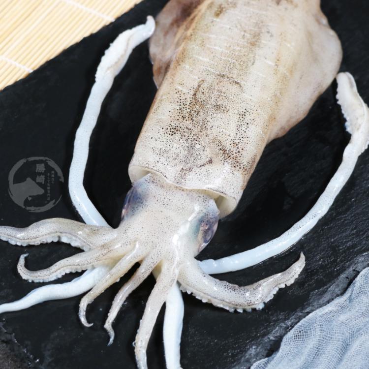 【勝崎生鮮】鮮脆活凍軟絲-可全家超取