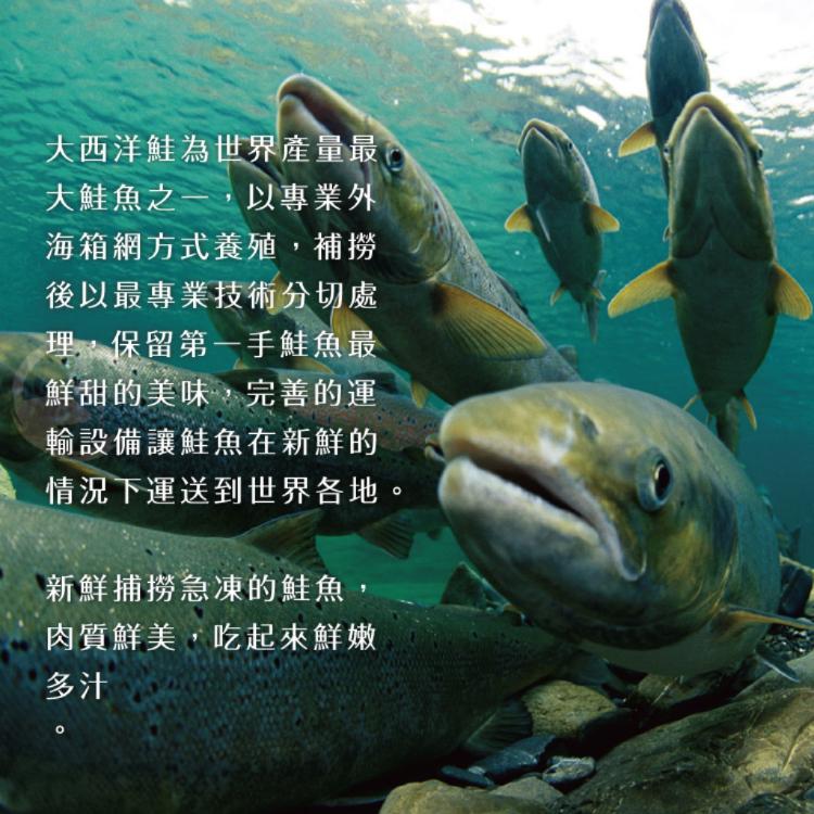 【勝崎生鮮】鮮切鮭魚片-可全家超取