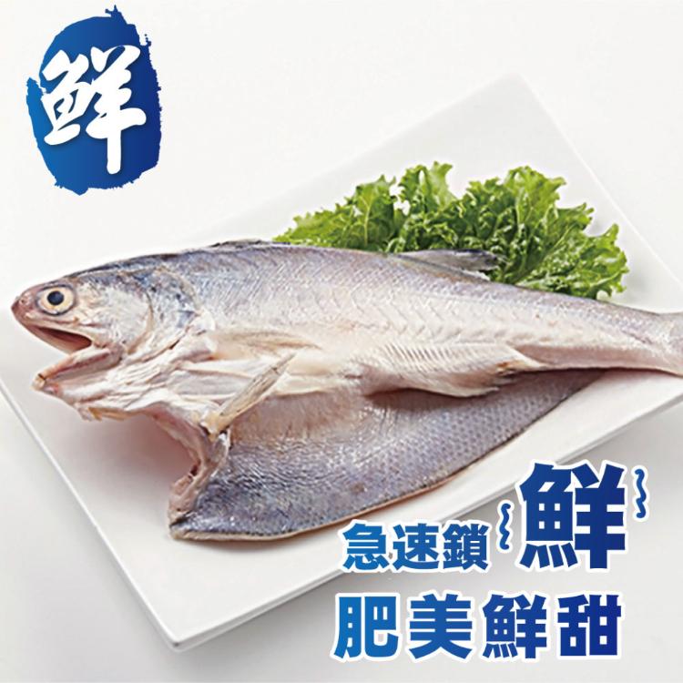 【勝崎生鮮】午仔魚一夜干-可全家超取