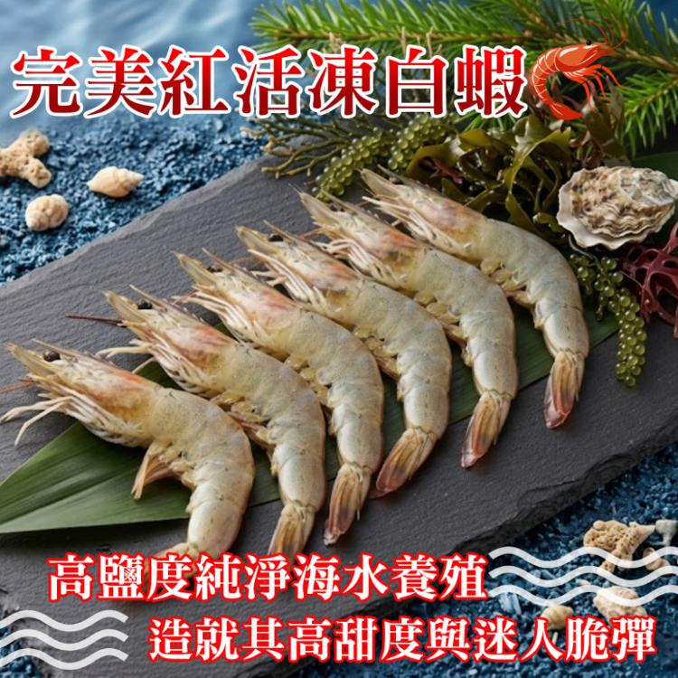 限量【勝崎生鮮】完美紅活凍生白蝦
