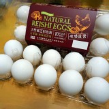 天然無毒白蛋-10粒裝