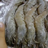 【宅甫珍鮮特大白蝦】活蝦鮮凍~產地直銷大包裝! 稀少魚池寄養~甜嫩彈牙600g(20-30尾) 胡椒蝦.醉蝦.燒酒蝦.烤肉 特價：$210