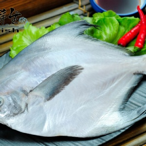 ★漁鮮生★《上選白鯧魚》350g±10%/尾, 海鮮團購 進口 平價 高品質 急凍宅配 真空保鮮