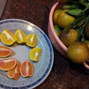 紅肉柳丁 1斤35元 (10斤以上可宅配)