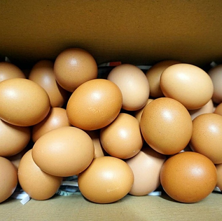 天然靈芝土雞紅蛋4斤裝禮盒