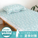 一年就等這一次!!2019出口日本外單/熊口愛超涼感夏日套組