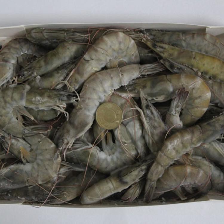 【優質蛋白超值組合】白蝦雞腿排魚皮