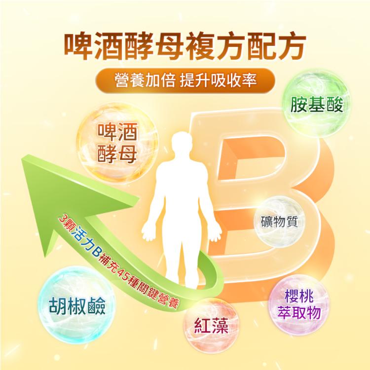 活力B啤酒酵母複方錠(全素) 90錠/瓶 天然酵母 維他命B群