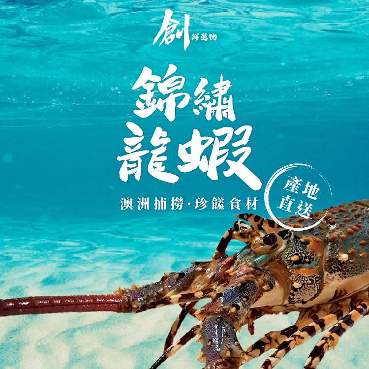 【創鮮選物】澳洲錦繡龍蝦