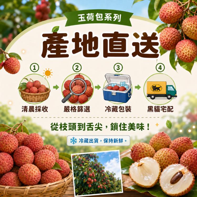【鮮菓選】友善耕作 高雄大樹 玉荷包