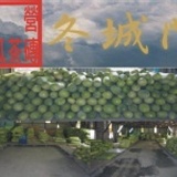 大冬瓜 倉庫實景