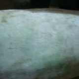 有機冬瓜 每台斤15元(一份二斤) 特價：$30