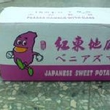限量特價~紅東地瓜 買5送1~6包特價800/1箱~ 大尺寸(M或L)