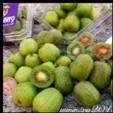 最迷你的奇異果5元硬幣大小~寶貝奇異果(kiwiberry) 特價：$1400